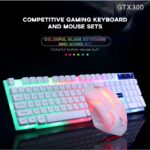 LIMEIDE GTX300