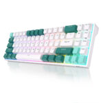 ROYAL KLUDGE R71 MECHANICAL KEYBOARD