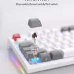 ROYAL KLUDGE R87 MECHANICAL KEYBOARD