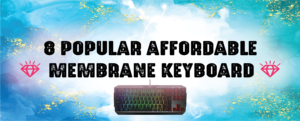 Read more about the article 8 Popular Affordable Membrane Keyboard