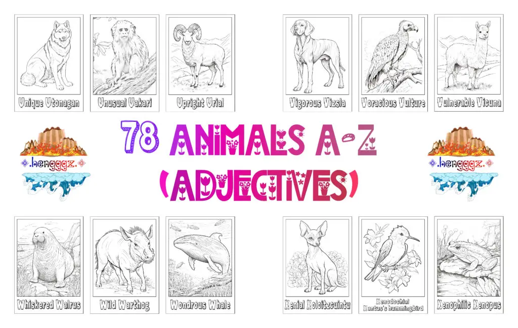 COLORING BOOK | FLASHCARDS - 78 ADJECTIVE ANIMALS