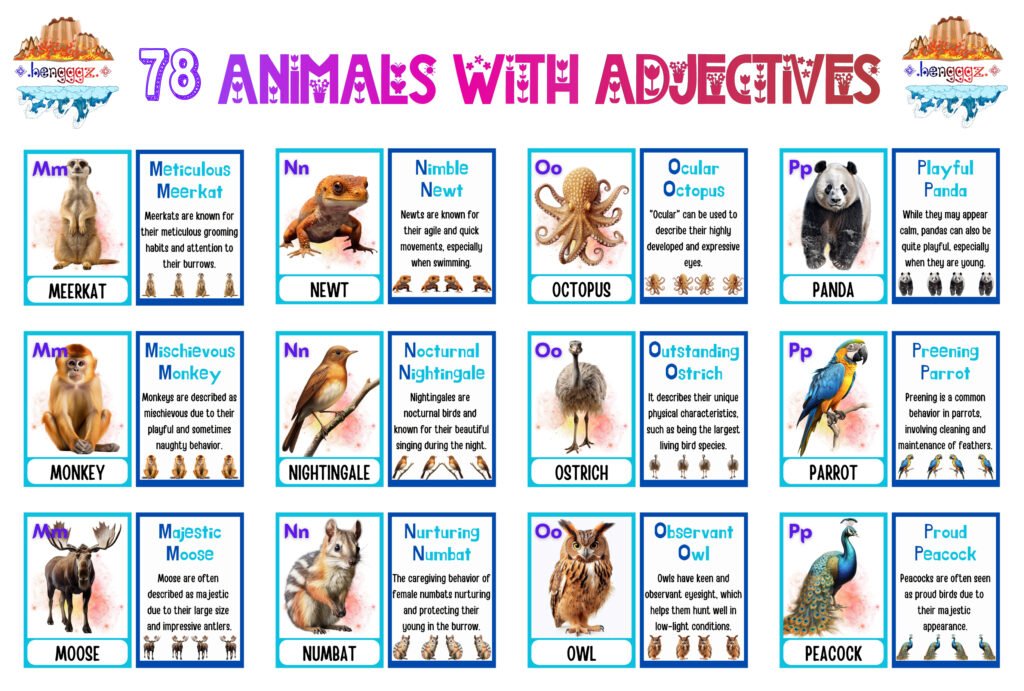 COLORING BOOK | FLASHCARDS - 78 ADJECTIVE ANIMALS