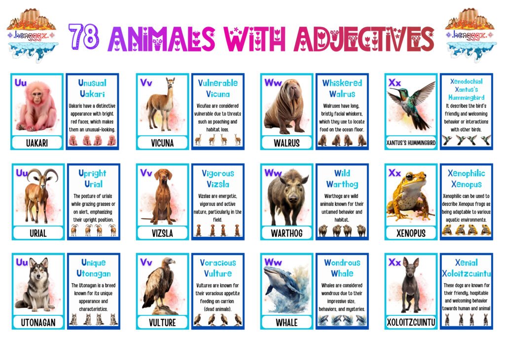 COLORING BOOK | FLASHCARDS - 78 ADJECTIVE ANIMALS