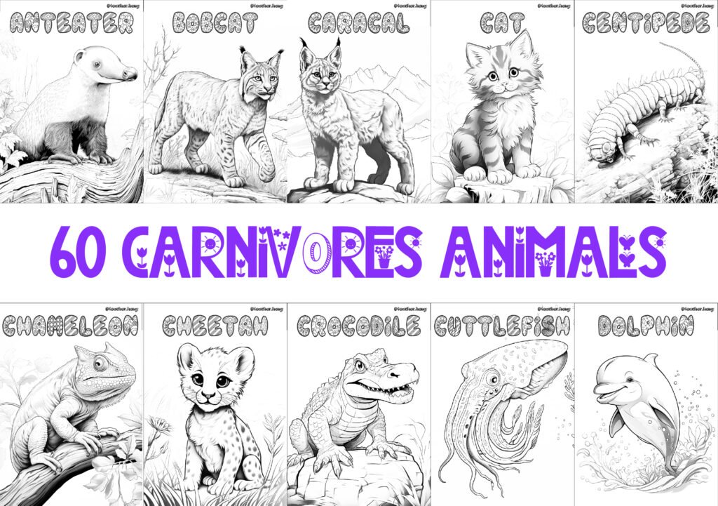 COLORING BOOK | FLASHCARDS - 60 CARNIVORE ANIMALS