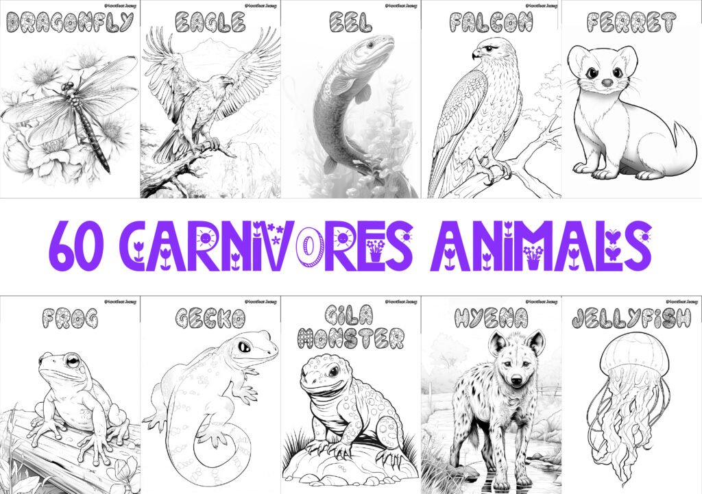 COLORING BOOK | FLASHCARDS - 60 CARNIVORE ANIMALS