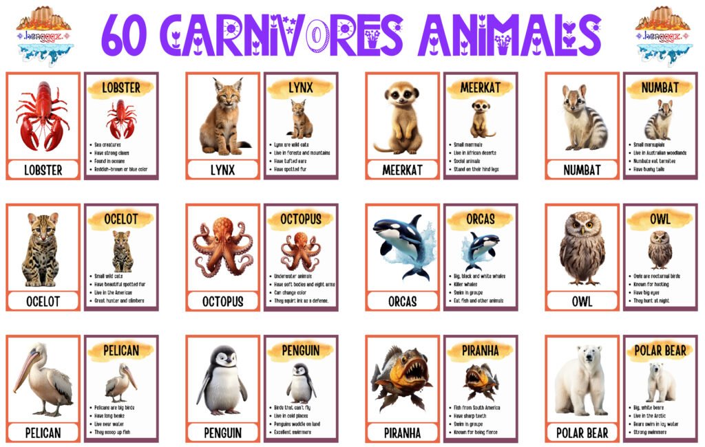 COLORING BOOK | FLASHCARDS - 60 CARNIVORE ANIMALS