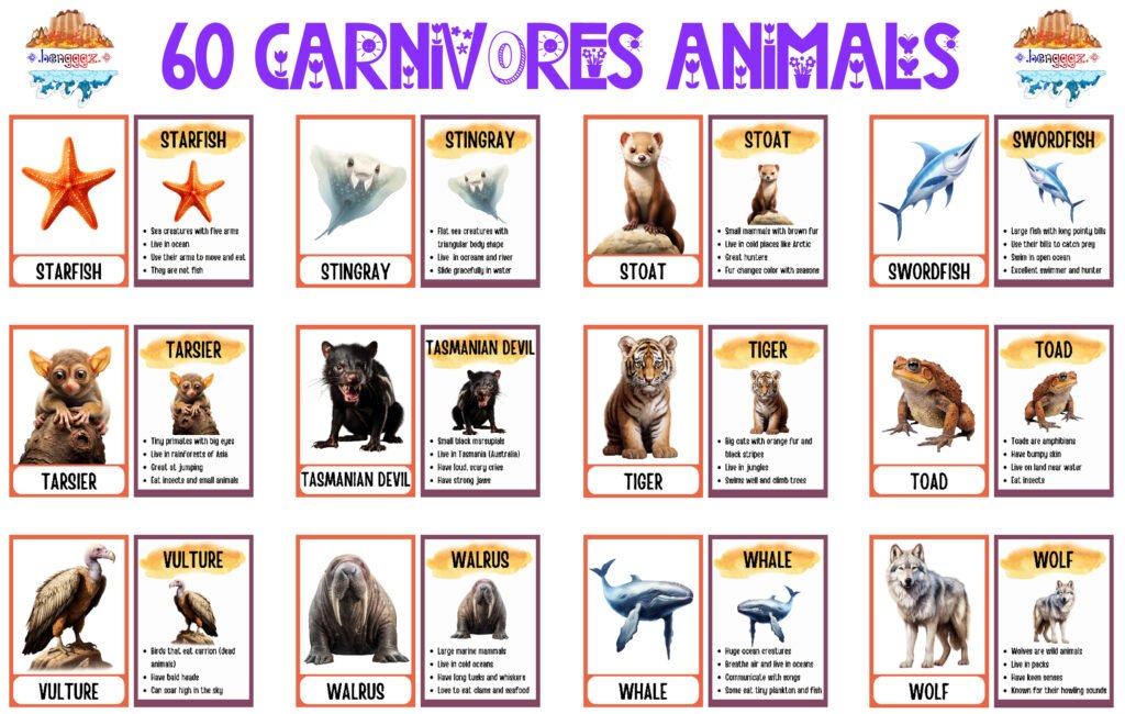 COLORING BOOK | FLASHCARDS - 60 CARNIVORE ANIMALS