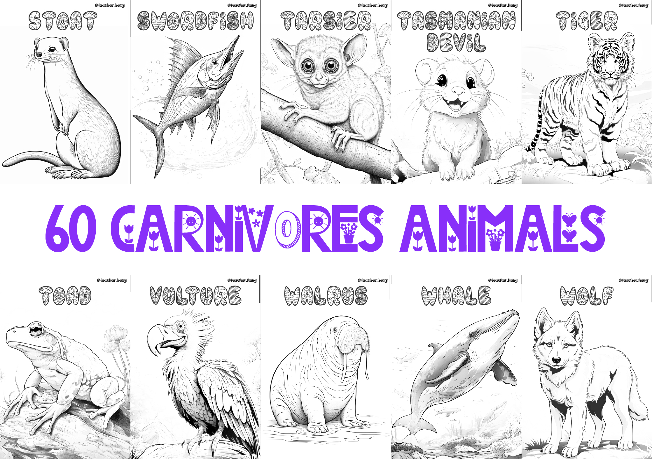 Coloring Book 60 Carnivorous Animals Teacher Heng Insightful Educator