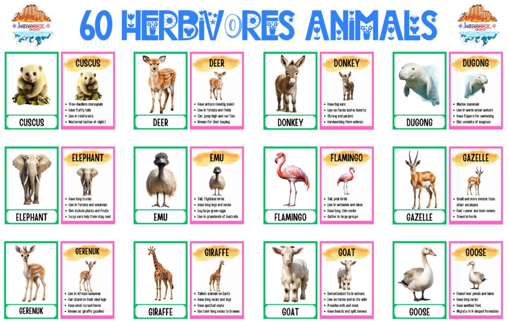 COLORING BOOK | FLASHCARDS - 60 HERBIVORE ANIMALS