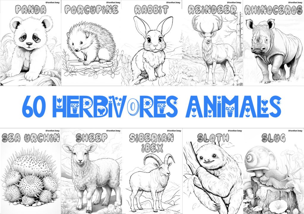 COLORING BOOK | FLASHCARDS - 60 HERBIVORE ANIMALS