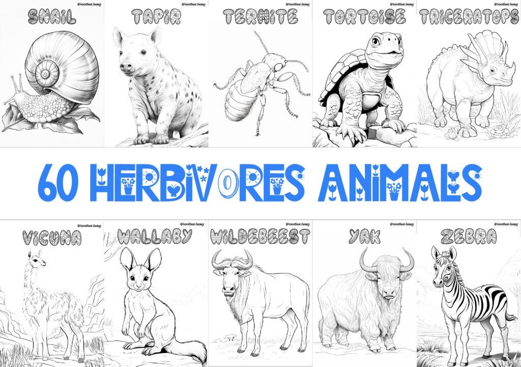 COLORING BOOK | FLASHCARDS - 60 HERBIVORE ANIMALS