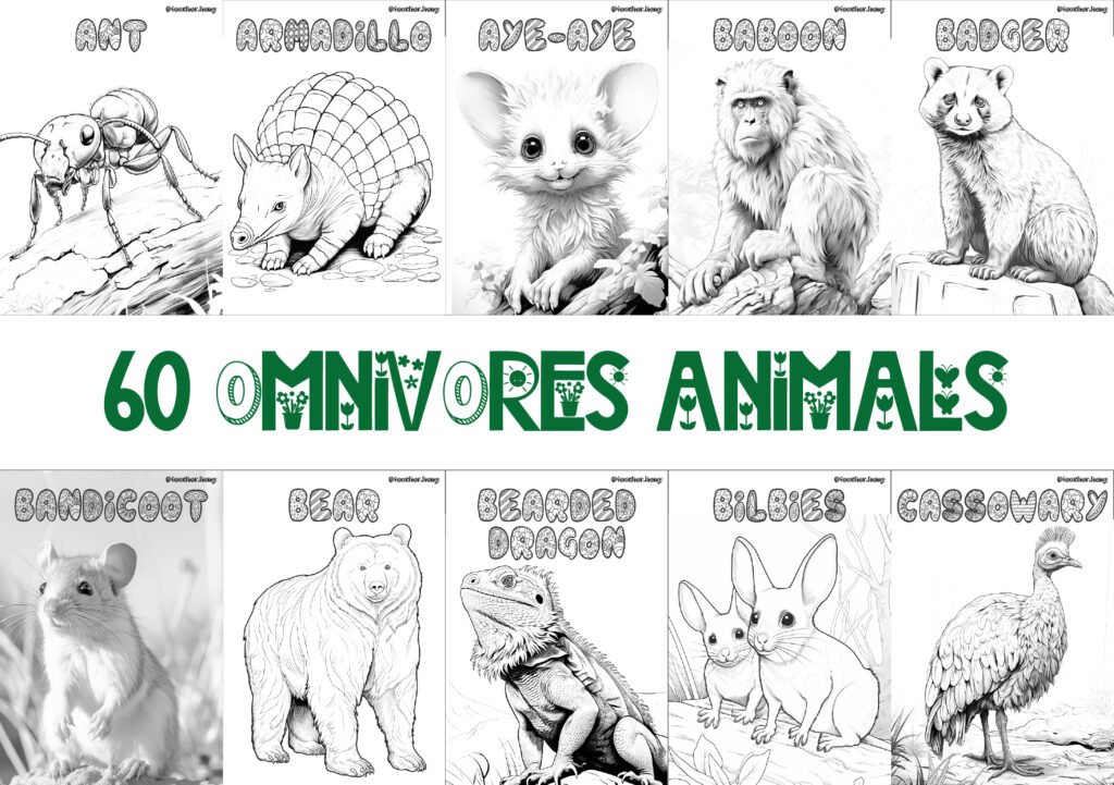COLORING BOOK | FLASHCARDS - 60 OMNIVORE ANIMALS