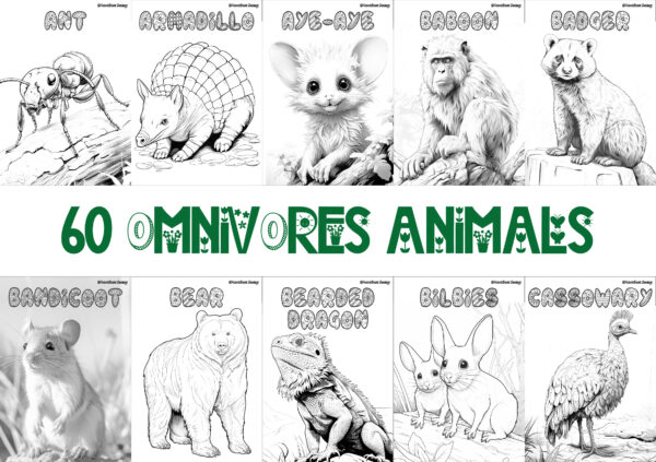 OMNIVORE ANIMALS