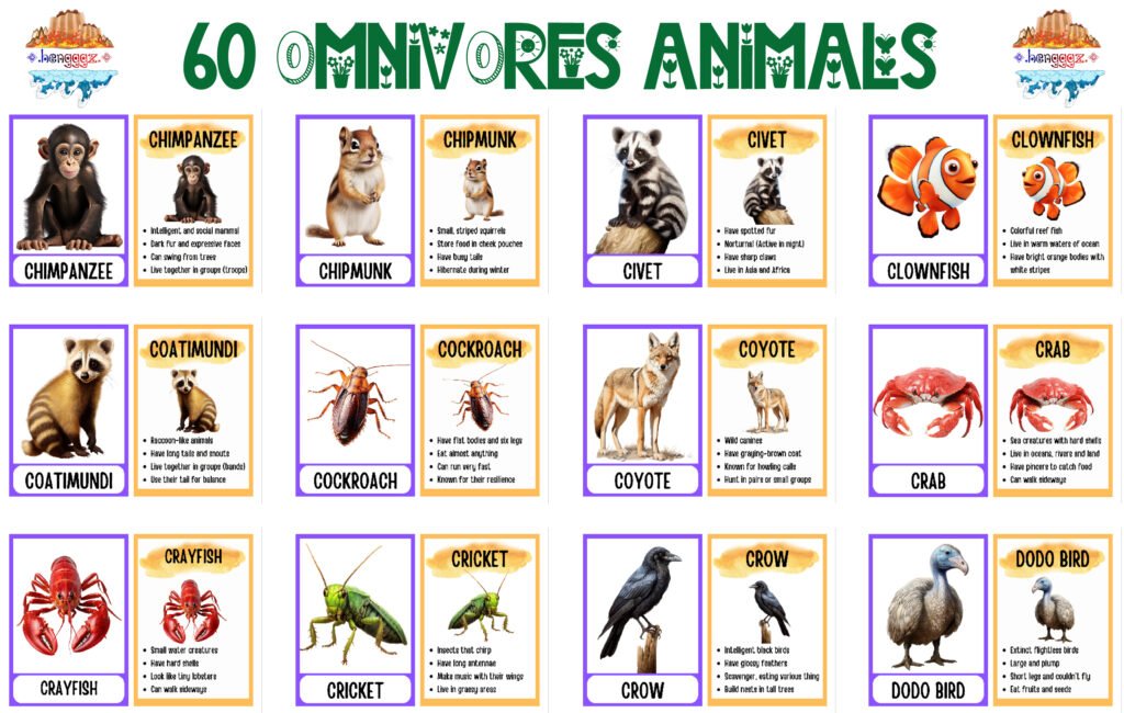 COLORING BOOK | FLASHCARDS - 60 OMNIVORE ANIMALS