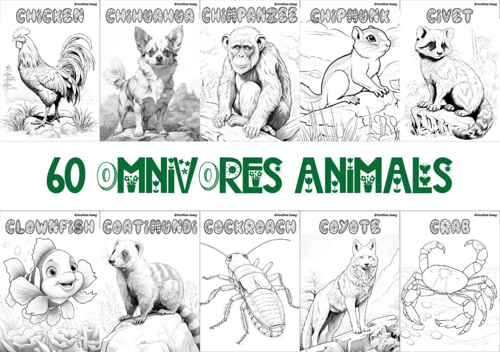 COLORING BOOK | FLASHCARDS - 60 OMNIVORE ANIMALS
