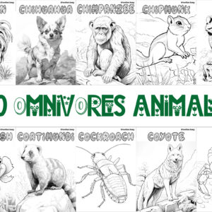Coloring Book: 60 Omnivorous Animals