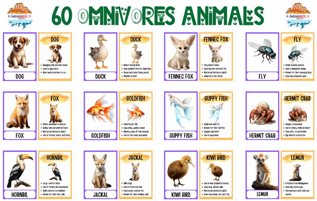 COLORING BOOK | FLASHCARDS - 60 OMNIVORE ANIMALS