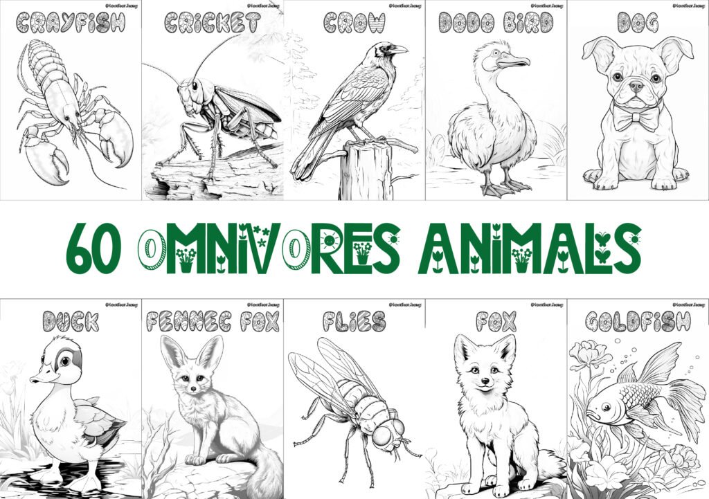 COLORING BOOK | FLASHCARDS - 60 OMNIVORE ANIMALS