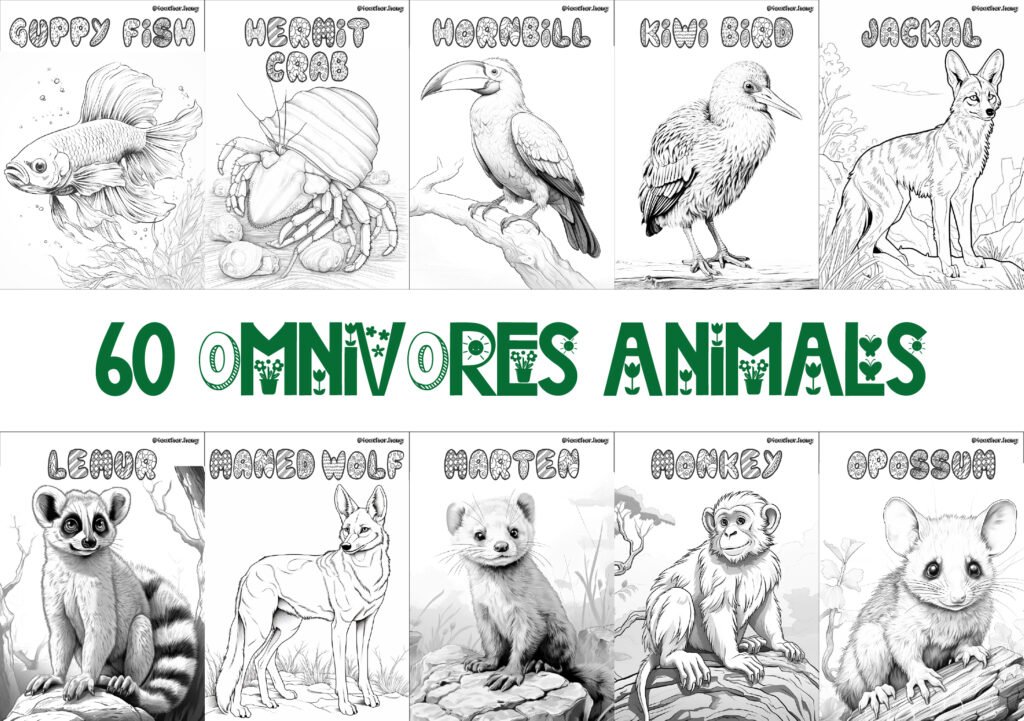 COLORING BOOK | FLASHCARDS - 60 OMNIVORE ANIMALS