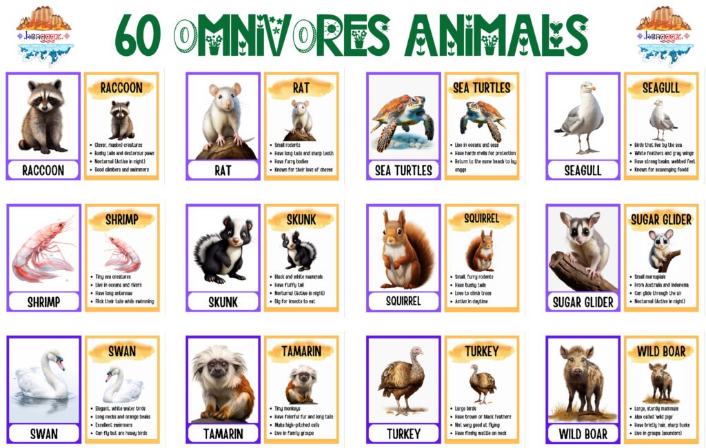 COLORING BOOK | FLASHCARDS - 60 OMNIVORE ANIMALS