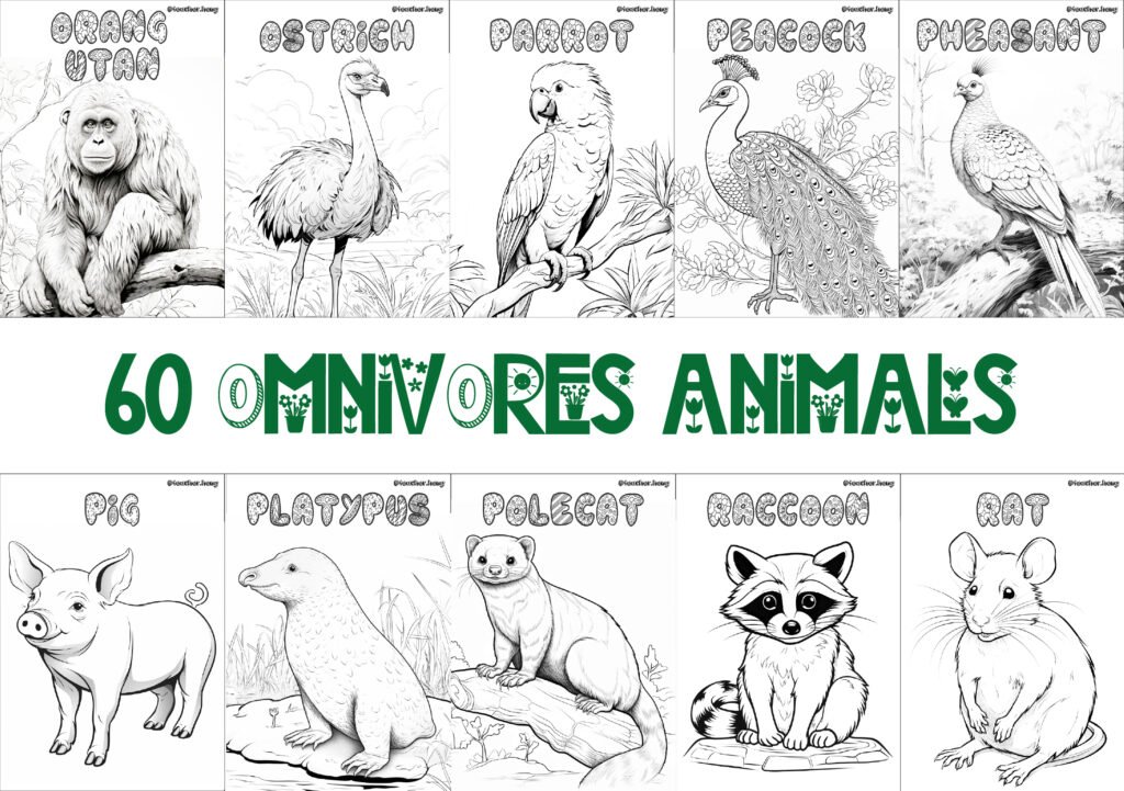COLORING BOOK | FLASHCARDS - 60 OMNIVORE ANIMALS
