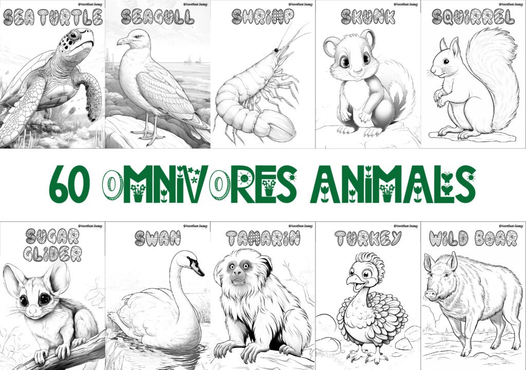 COLORING BOOK | FLASHCARDS - 60 OMNIVORE ANIMALS