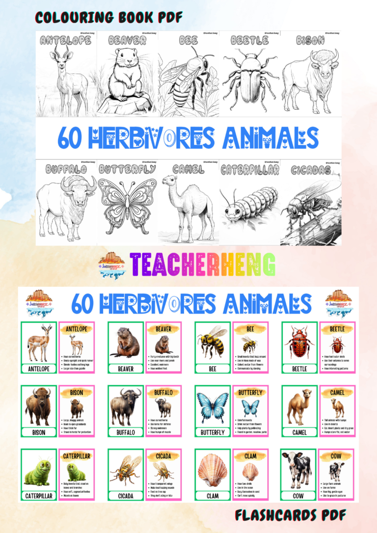 60 HERBIVORE ANIMALS