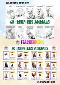 60 Omnivore Animals - Wildlife & Nature Inspired Coloring Book and Flashcards PDF