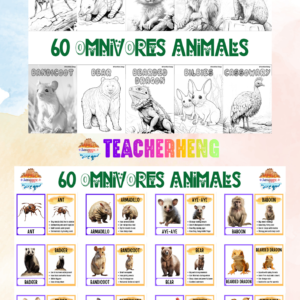 60 Omnivore Animals – Wildlife & Nature Inspired Coloring Book and Flashcards PDF