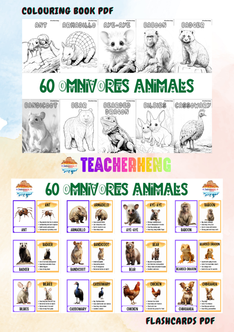 60 Omnivore Animals – Wildlife & Nature Inspired Coloring Book and Flashcards PDF