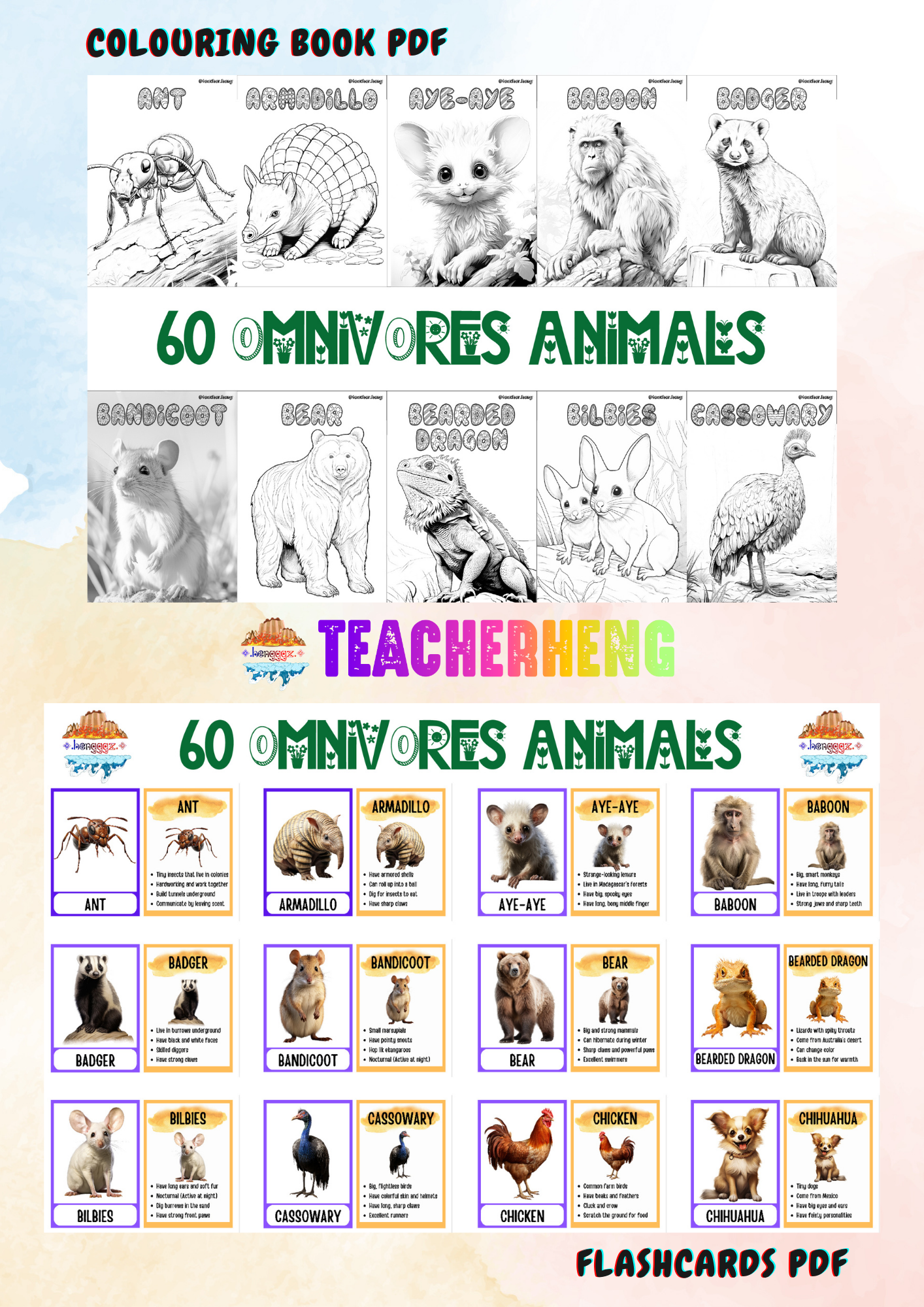 Coloring | Flashcards : 60 Omnivore Animals