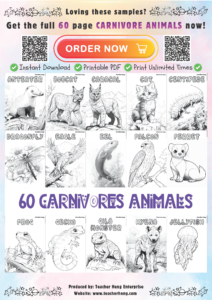 TEACHERHENG_FREEBIES_8_CARNIVORE_ANIMALS_Page_02