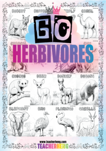 60 HERBIVORE ANIMALS