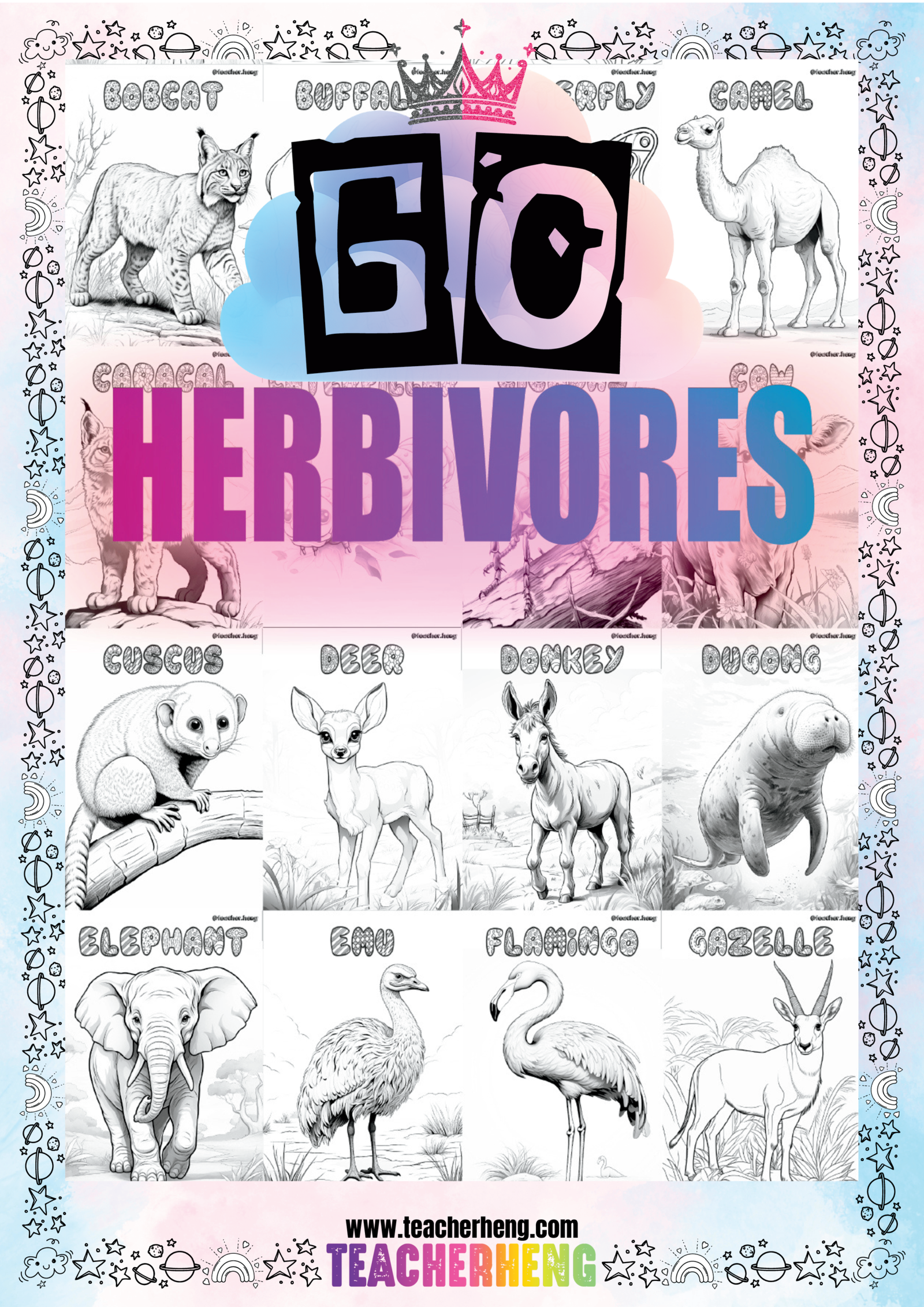 60 Herbivore Animals Coloring Flashcards