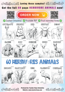 TEACHERHENG_FREEBIES_8_HERBIVORE_ANIMALS_Page_02