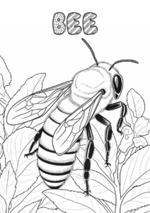 TEACHERHENG_FREEBIES_8_HERBIVORE_ANIMALS_Page_04